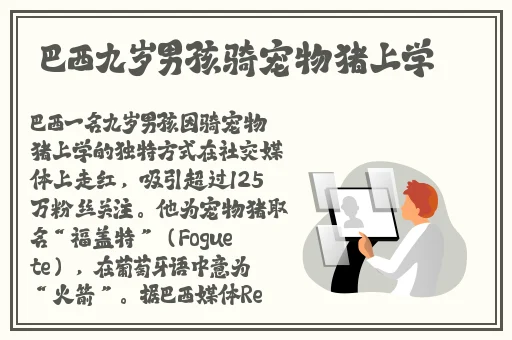 海外直播b站