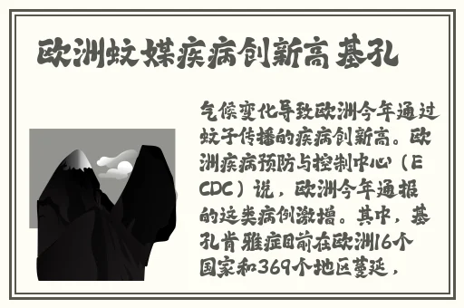 麻豆专媒体二区
