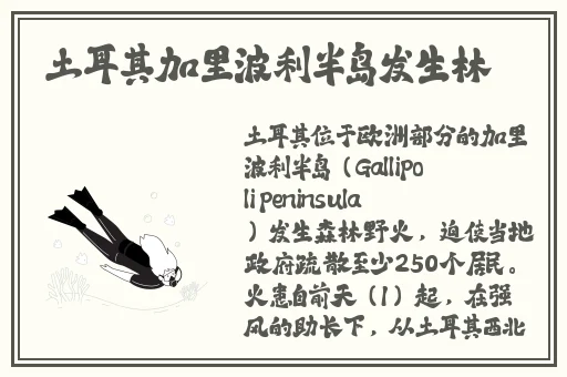 榴莲视频在线观看下载ios